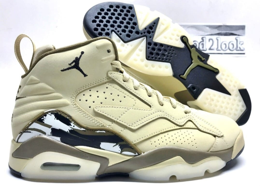 Nike Air jordan retro 6*