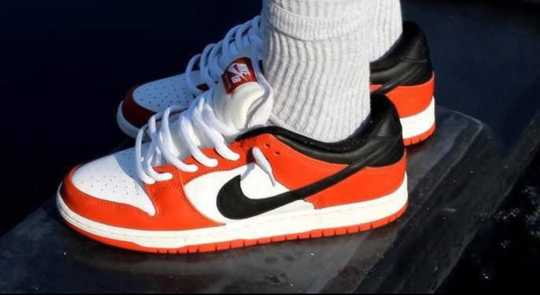 NIKE SB DUNK PRO J PACK Chicago