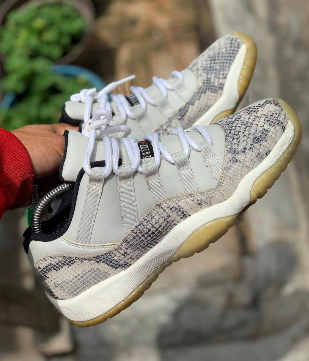 Nike Air Jordan 11 Low*