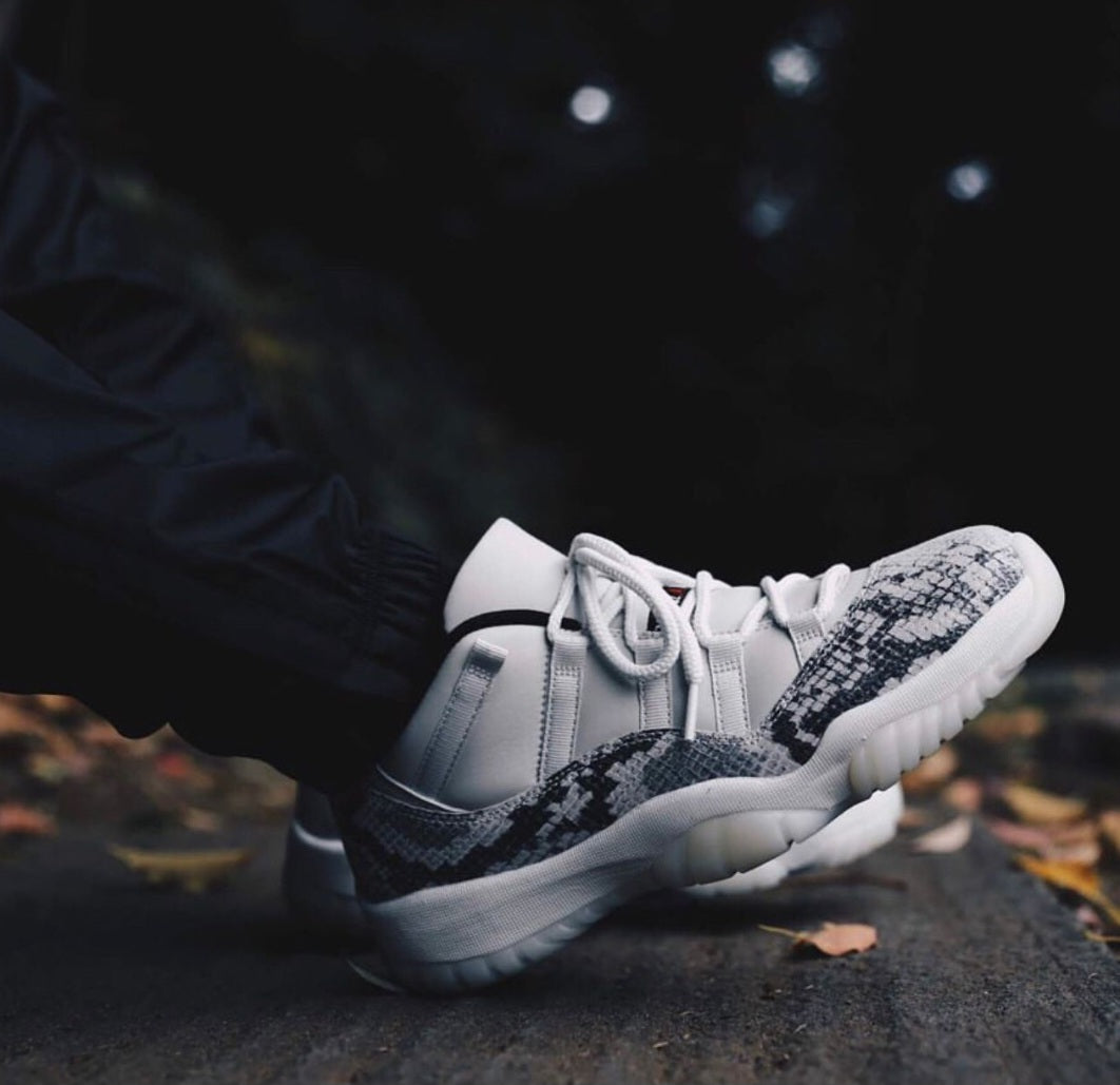 Nike Air Jordan 11 Low*